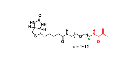 Biotin-PEGn-Methacrylamide
