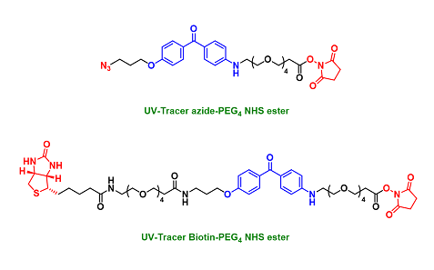 UV-Tracer 探针