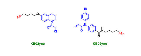 靶向半胱氨酸的侦查分子